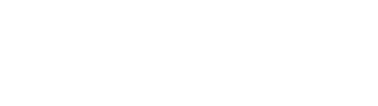 Lead for North Carolina Logo